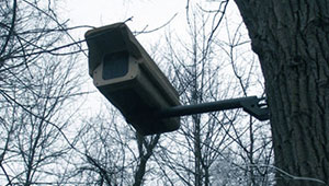 Петербургские адвокаты вслед за московскими получили доступ к записям уличных камер